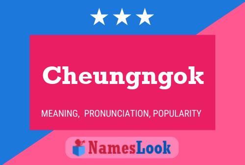 Cheungngok Name Poster