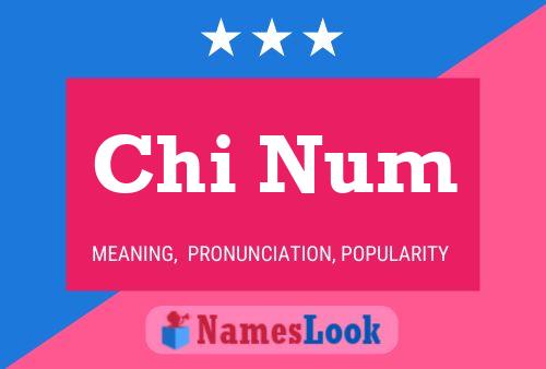 Chi Num Name Poster