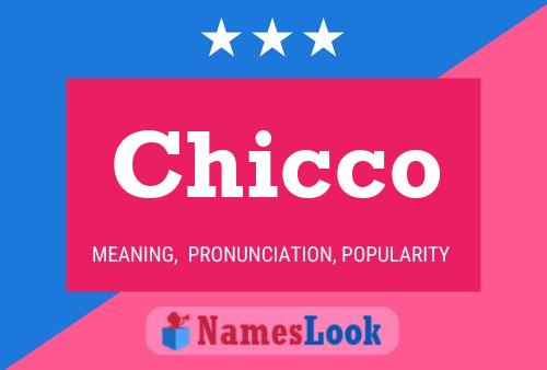 Chicco Name Poster