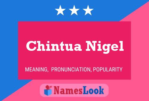 Chintua Nigel Name Poster