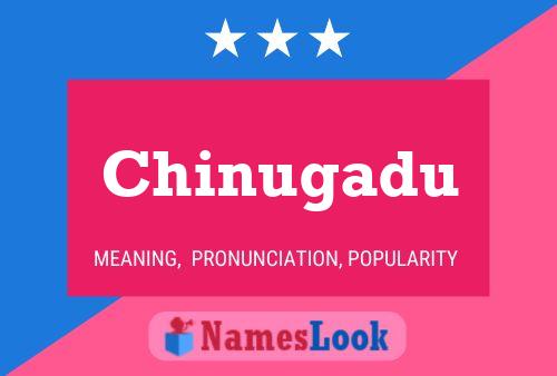 Chinugadu Name Poster