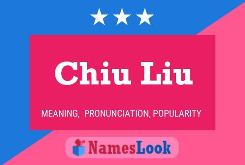 Chiu Liu Name Poster