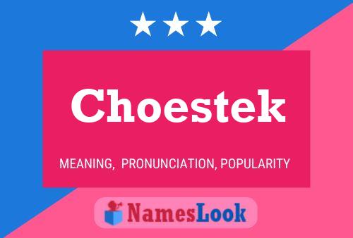 Choestek Name Poster