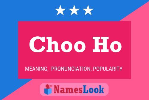 Choo Ho Name Poster