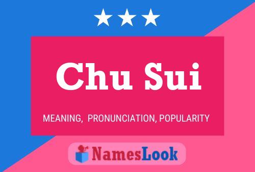 Chu Sui Name Poster