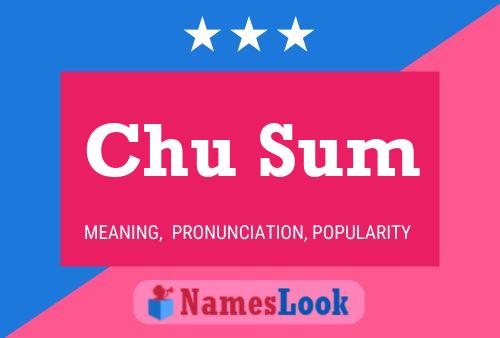 Chu Sum Name Poster