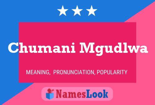 Chumani Mgudlwa Name Poster