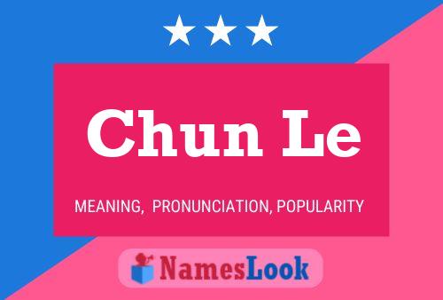 Chun Le Name Poster