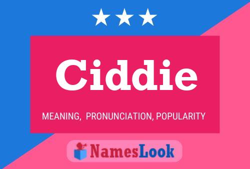 Ciddie Name Poster