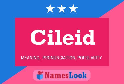 Cileid Name Poster