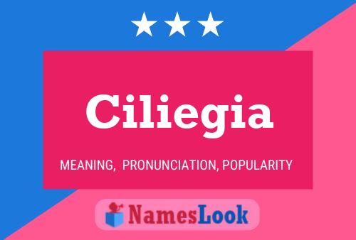 Ciliegia Name Poster