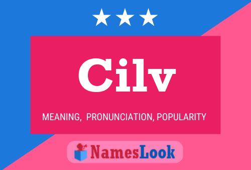 Cilv Name Poster