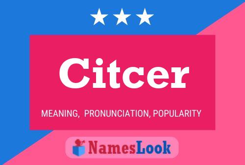 Citcer Name Poster