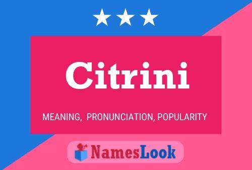 Citrini Name Poster