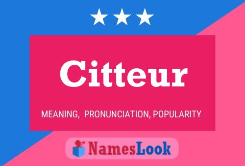 Citteur Name Poster