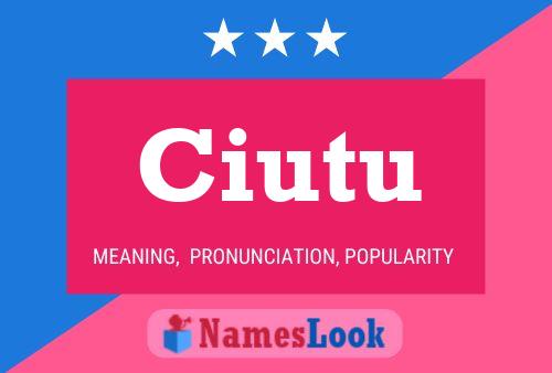 Ciutu Name Poster