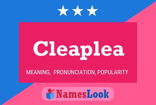 Cleaplea Name Poster