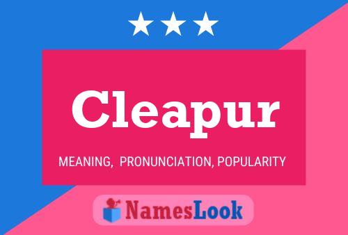 Cleapur Name Poster