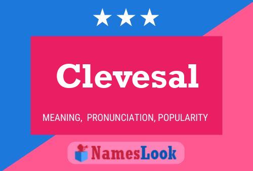 Clevesal Name Poster