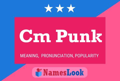 Cm Punk Name Poster