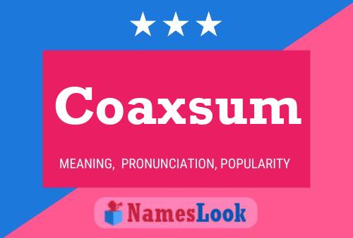 Coaxsum Name Poster