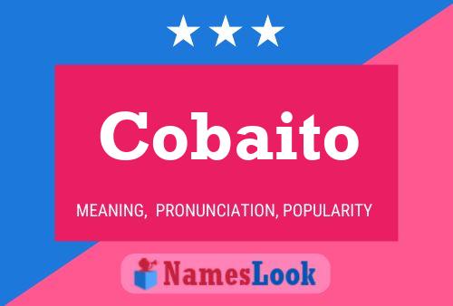 Cobaito Name Poster