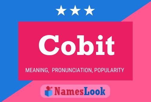 Cobit Name Poster