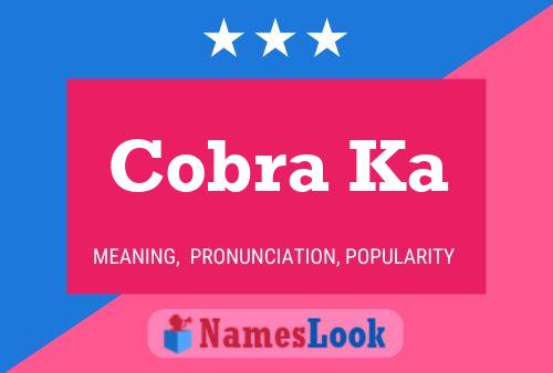 Cobra Ka Name Poster