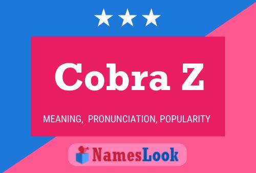 Cobra Z Name Poster