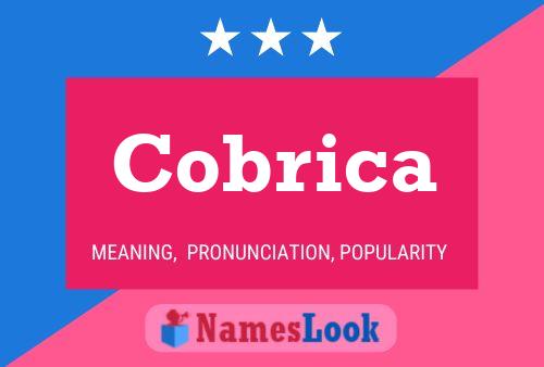 Cobrica Name Poster