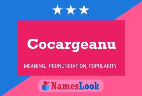 Cocargeanu Name Poster