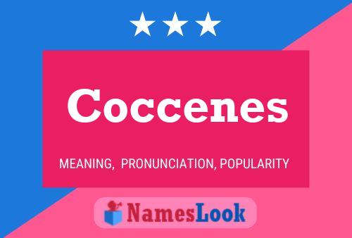 Coccenes Name Poster