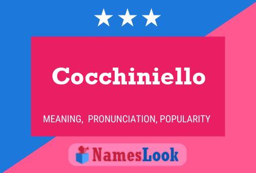 Cocchiniello Name Poster