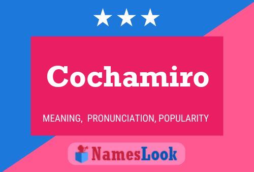 Cochamiro Name Poster