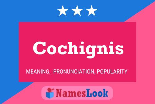 Cochignis Name Poster