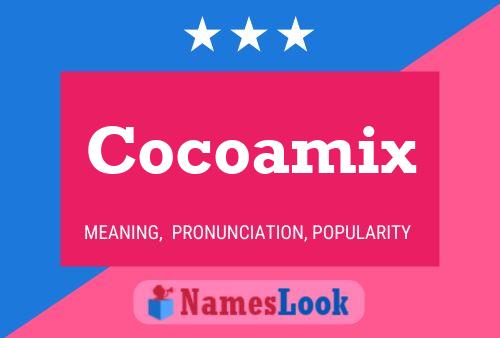 Cocoamix Name Poster