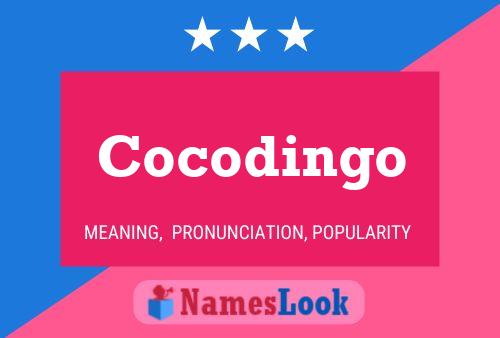 Cocodingo Name Poster