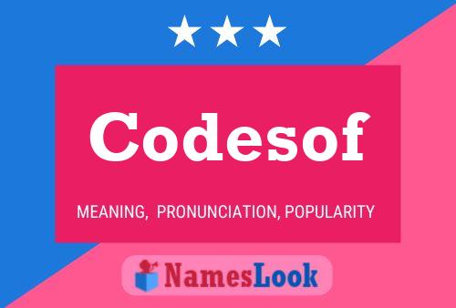 Codesof Name Poster