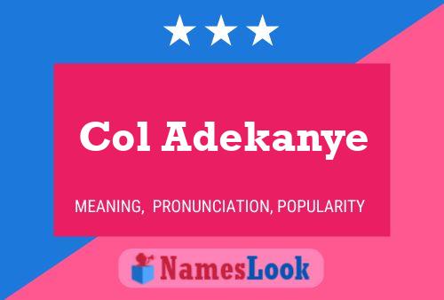 Col Adekanye Name Poster