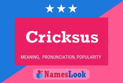 Cricksus Name Poster