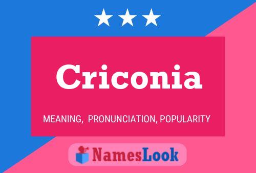 Criconia Name Poster