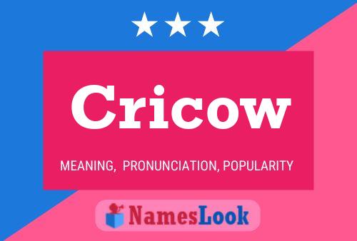 Cricow Name Poster