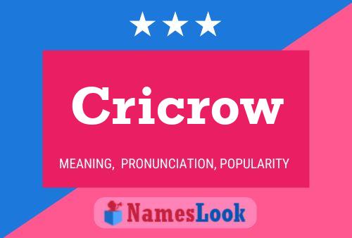 Cricrow Name Poster