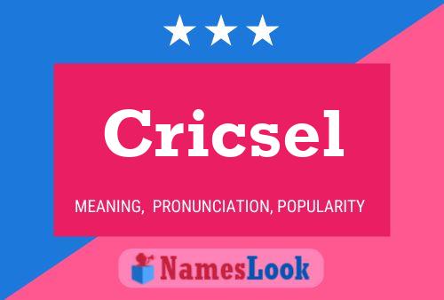 Cricsel Name Poster