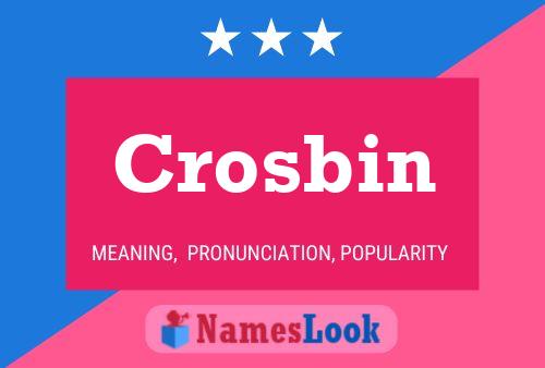 Crosbin Name Poster