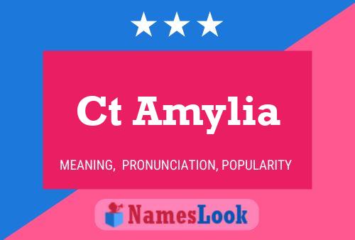 Ct Amylia Name Poster