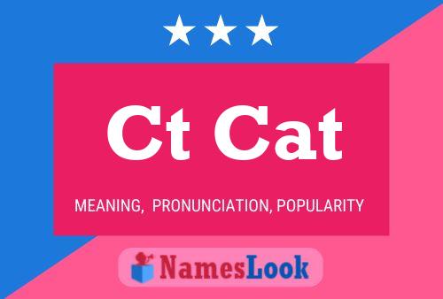 Ct Cat Name Poster