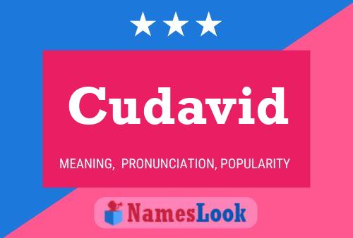 Cudavid Name Poster