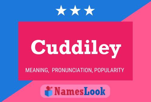 Cuddiley Name Poster