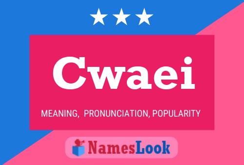 Cwaei Name Poster